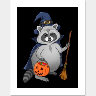 Raccoon Witch Posters and Art